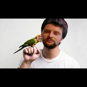 Meet your Posher, Michael